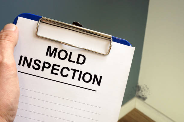 Best Asbestos and Lead Testing During Mold Inspection  in Muncy, PA